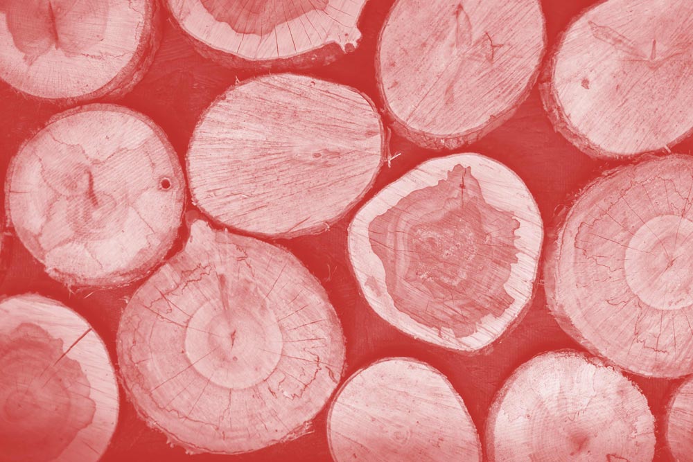 close-up of wood stump pile with red overlay